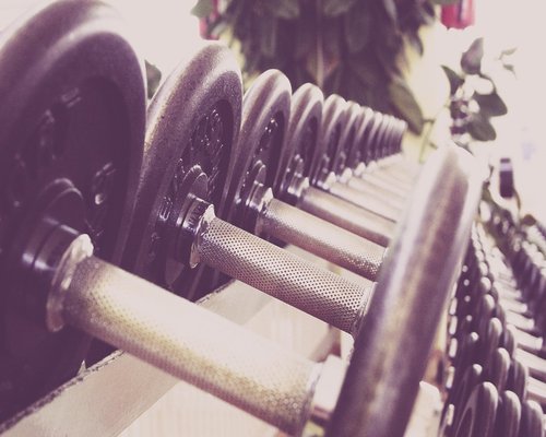 Dumbbell rack in a clean gym environment