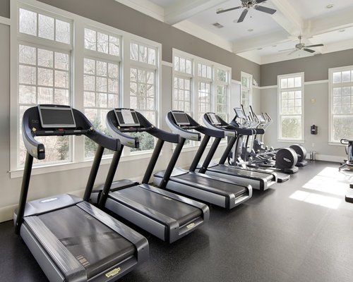 Row of treadmills facing a window